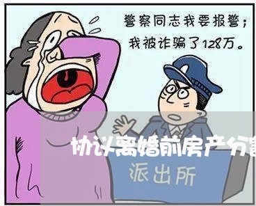 协议离婚前房产分割协议书