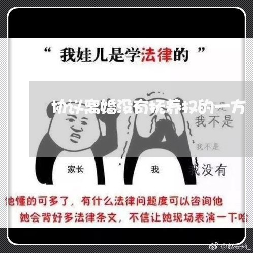 协议离婚没有抚养权的一方