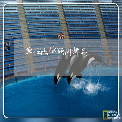 单位法律顾问排名/2023061742814