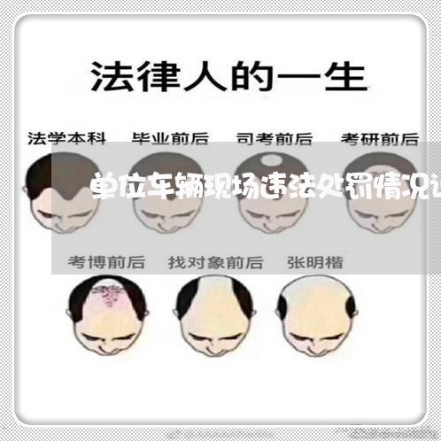 单位车辆现场违法处罚情况说明 单位车辆现场违法处罚情况说明