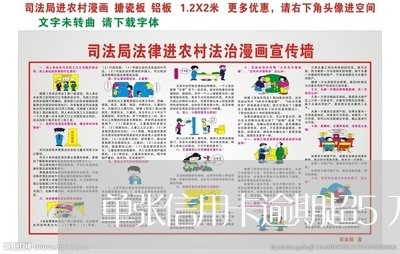 单张信用卡逾期超5万怎么处理/2023110283704