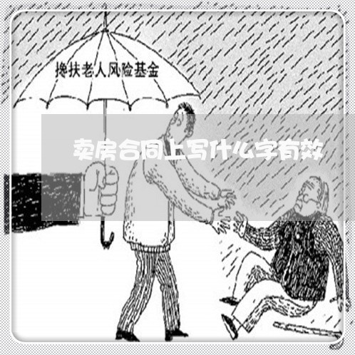 卖房合同上写什么字有效/2023022632706 卖房合同上写什么字有效/2023022632706