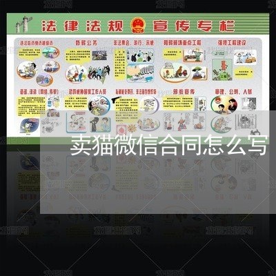 卖猫微信合同怎么写/2023041069681