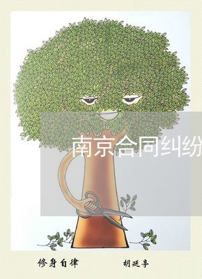 南京合同纠纷律师咨询律所