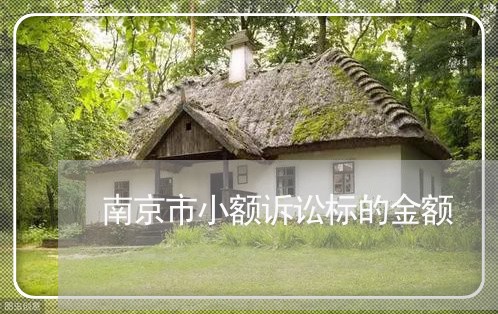 南京市小额诉讼标的金额 南京市小额诉讼标的金额