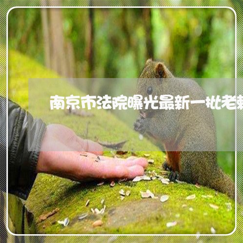 南京市法院曝光最新一批老赖名单 南京市法院曝光最新一批老赖名单