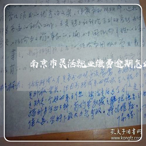 南京市灵活就业缴费逾期怎么办 南京市灵活就业缴费逾期怎么办