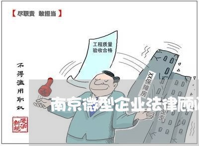 南京微型企业法律顾问/2023061862472