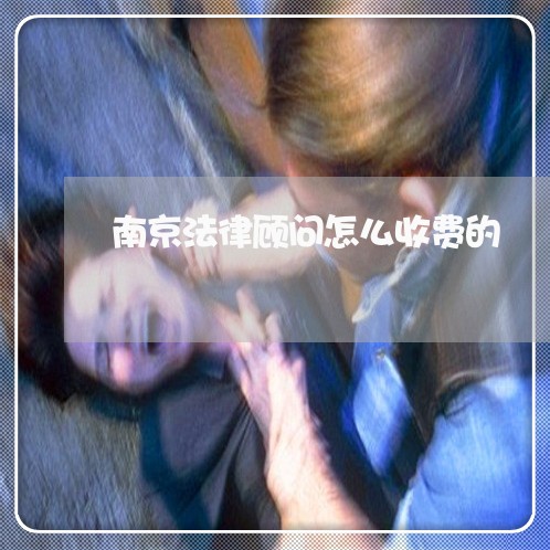 南京法律顾问怎么收费的/2023061804704