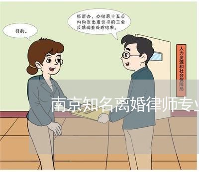 南京知名离婚律师专业法律咨询