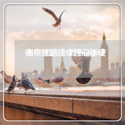 南京铁路法律顾问张捷 南京铁路法律顾问张捷