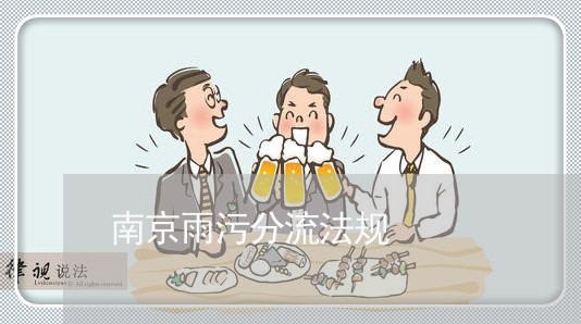 南京雨污分流法规 南京雨污分流法规