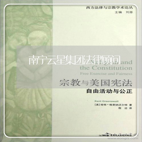 南宁云星集团法律顾问/2023061864704 南宁云星集团法律顾问/2023061864704