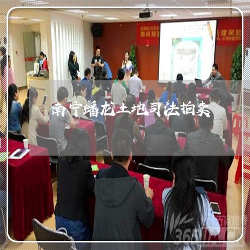 南宁蟠龙土地司法拍卖 南宁蟠龙土地司法拍卖