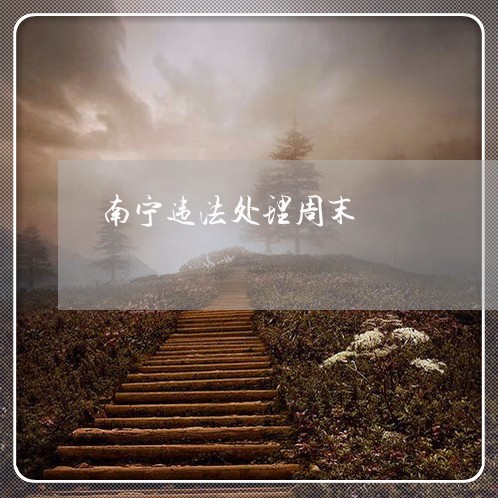 南宁违法处理周末 南宁违法处理周末