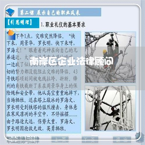 南岸区企业法律顾问/2023061900592