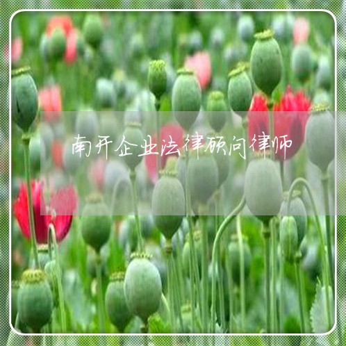 南开企业法律顾问律师 南开企业法律顾问律师