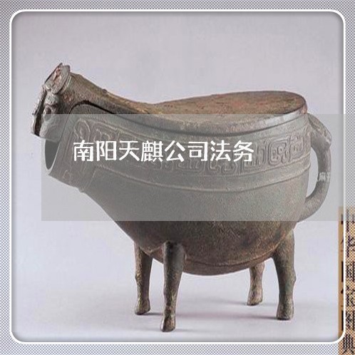 南阳天麒公司法务 南阳天麒公司法务