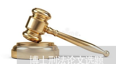 博士刑法论文选题 博士刑法论文选题