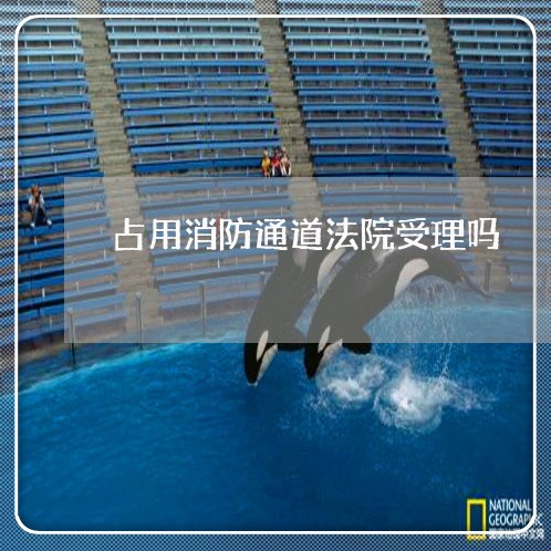 占用消防通道法院受理吗