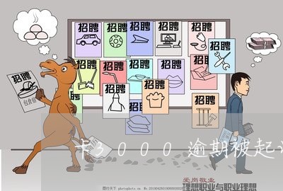 卡3000逾期被起诉