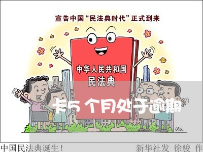 卡5个月处于逾期