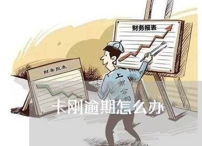 卡刚逾期怎么办/2023020990572