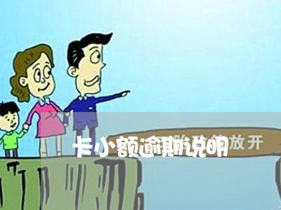 卡小额逾期说明/2023030107370 卡小额逾期说明/2023030107370