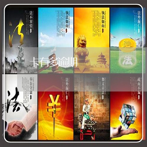 卡有多逾期/2023020480793
