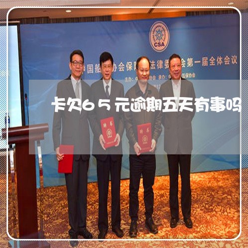 卡欠65元逾期五天有事吗