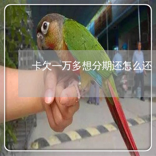 卡欠一万多想分期还怎么还