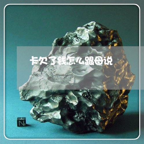 卡欠了钱怎么跟母说