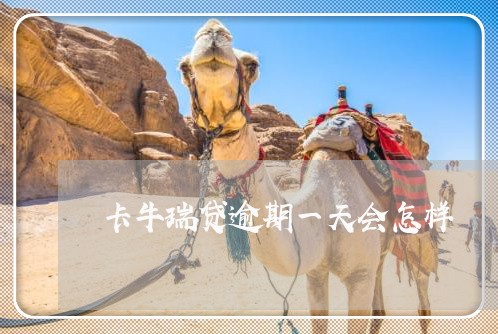 卡牛瑞贷逾期一天会怎样