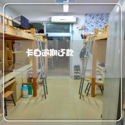 卡白逾期还款