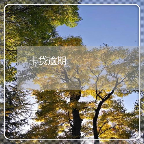 卡贷逾期/2023020495268