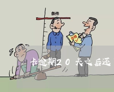 卡逾期20天之后还了最低 卡逾期20天之后还了最低