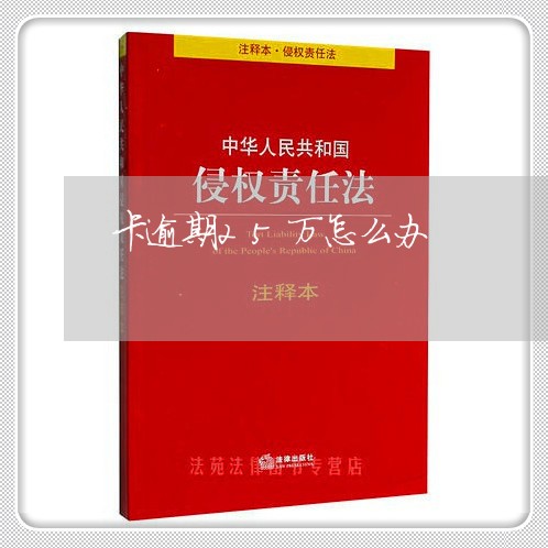 卡逾期25万怎么办