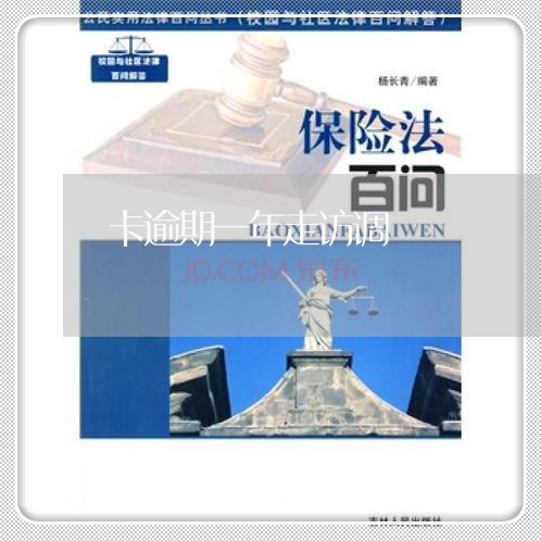 卡逾期一年走访调
