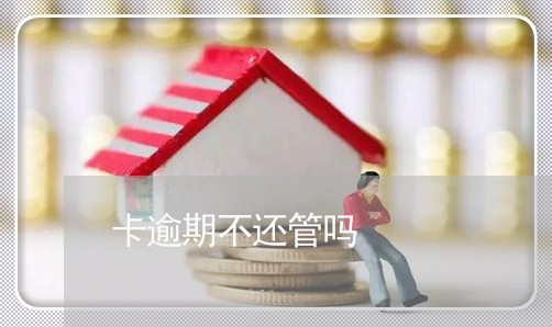 卡逾期不还管吗