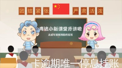 卡逾期唯一停息挂账