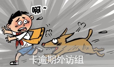 卡逾期外访组