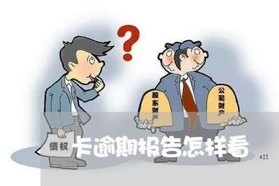 卡逾期报告怎样看