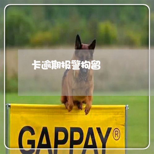 卡逾期报警拘留/2023022779604