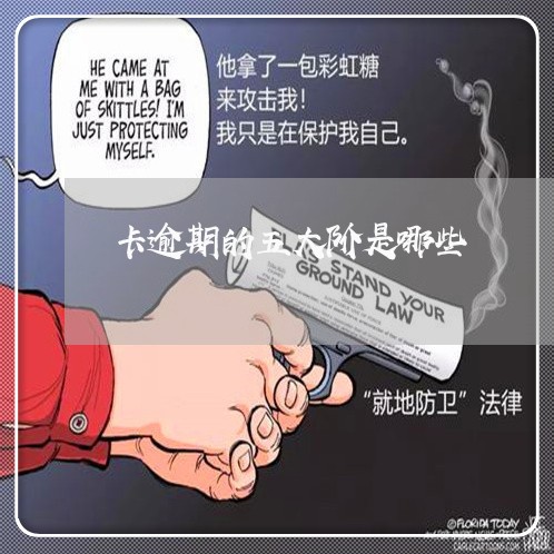 卡逾期的五大阶是哪些