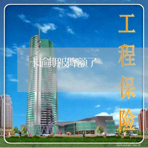 卡逾期被降额了/2023020885148