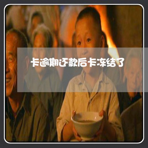 卡逾期还款后卡冻结了 卡逾期还款后卡冻结了