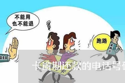 卡逾期还款的电话号码