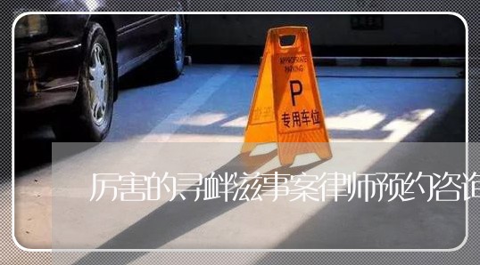 厉害的寻衅滋事案律师预约咨询