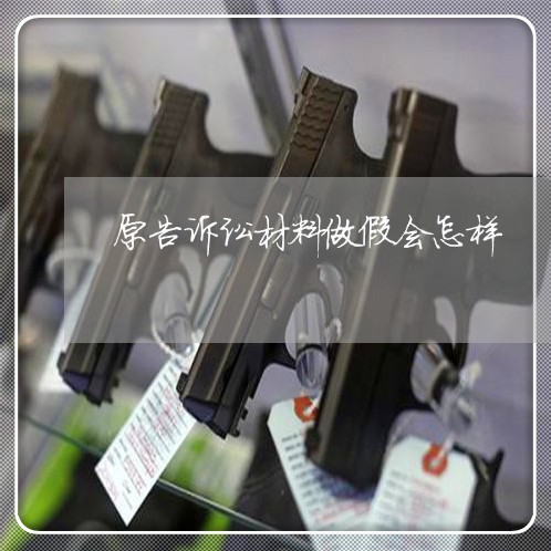 原告诉讼材料做假会怎样 原告诉讼材料做假会怎样