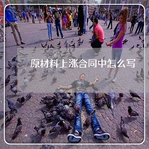 原材料上涨合同中怎么写/2023041252794 原材料上涨合同中怎么写/2023041252794